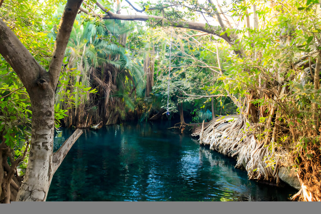 Chemka Hot Spring Day Trip – Kikuletwa 1 Day Tour from Moshi