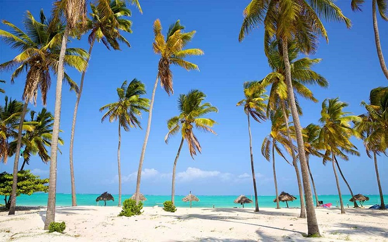 3 Days Zanzibar Holiday Tour – Luxury Island Getaway in Tanzania